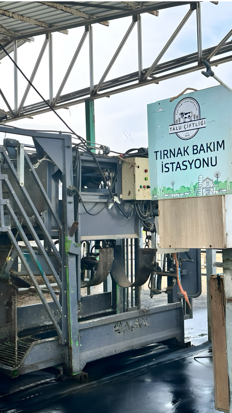 Talu Çiftliği Görseller